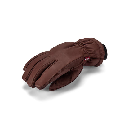 The Alpine Glove